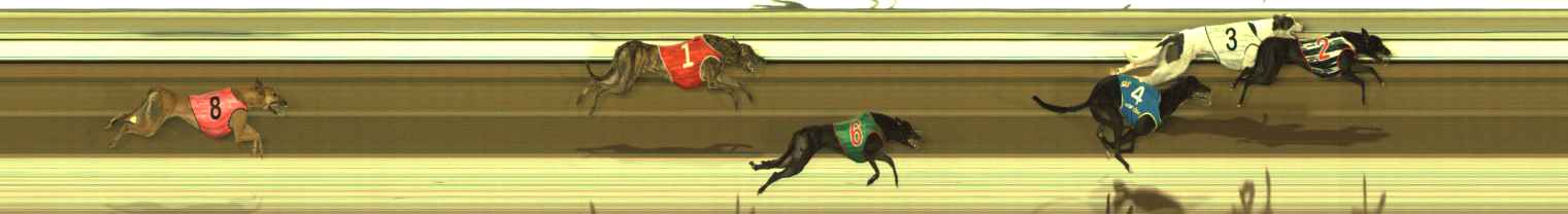 Race result finish photo